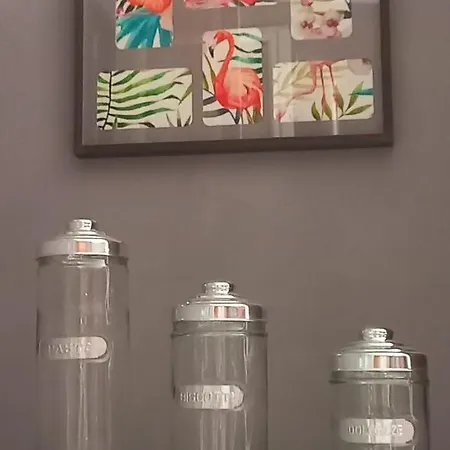 Dal Conte 斯培西亚